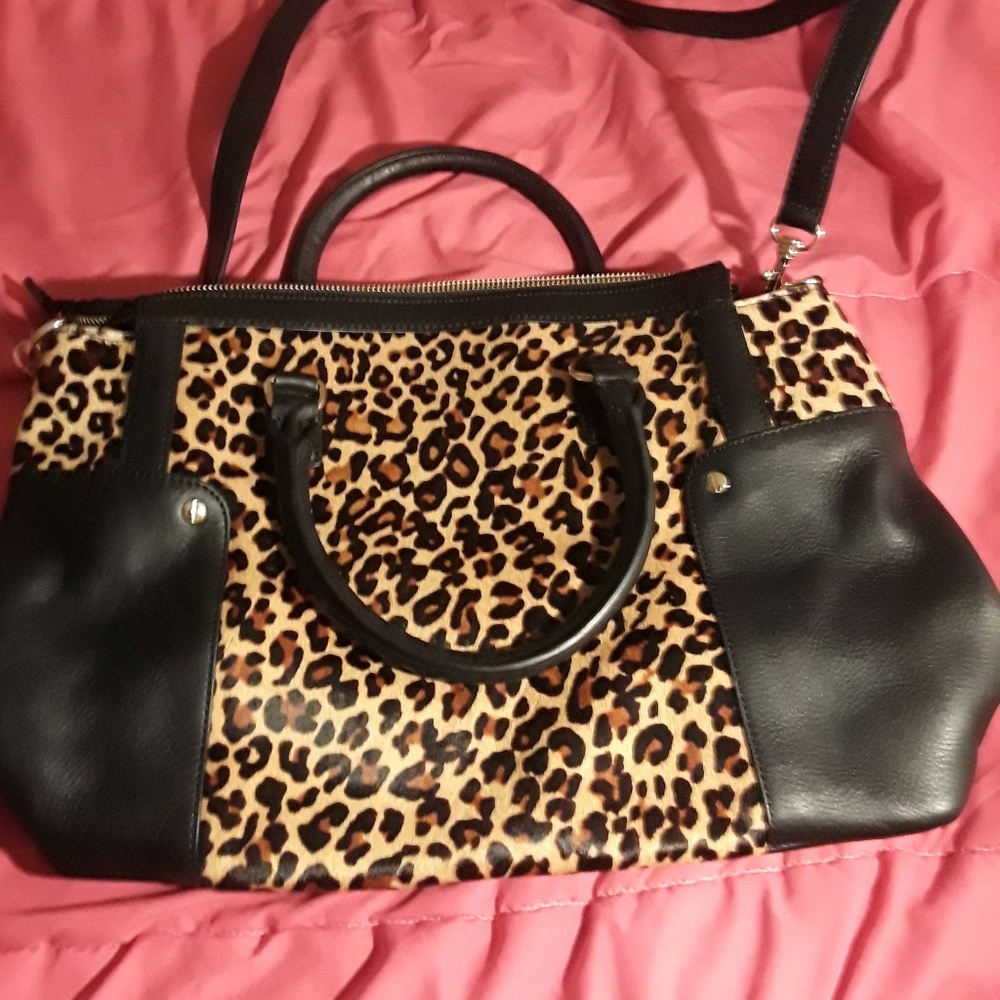 Meet your Posher, Sandy